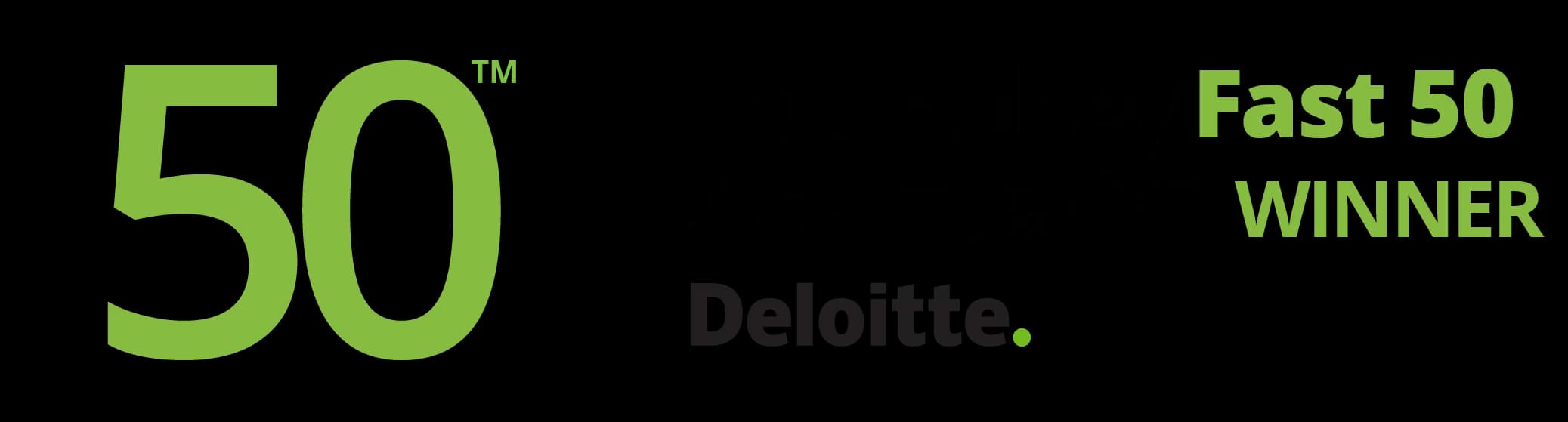Deloitte Technology Fast 50 Turkey 2024 Winner