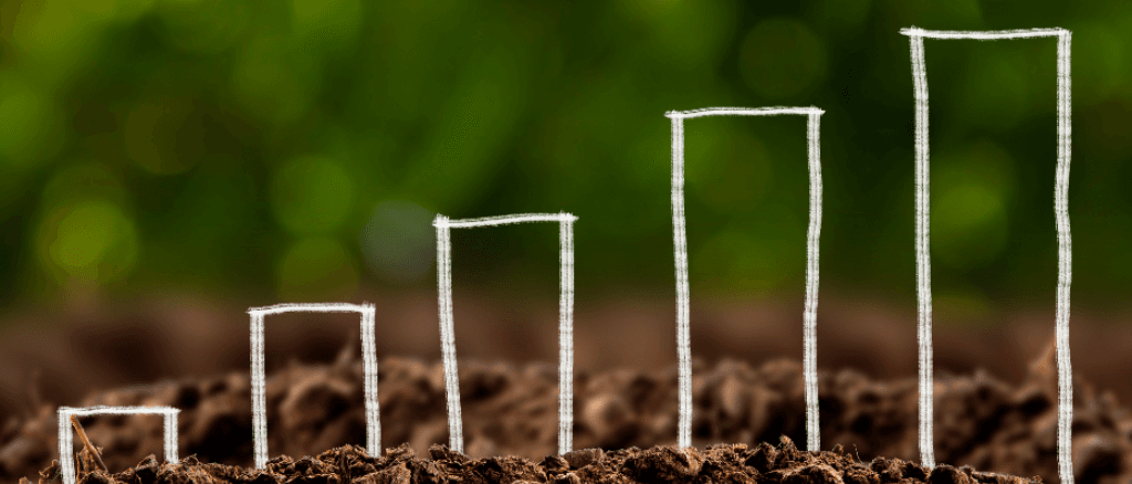 Arsa Yatırımında Nelere Dikkat Etmelisiniz