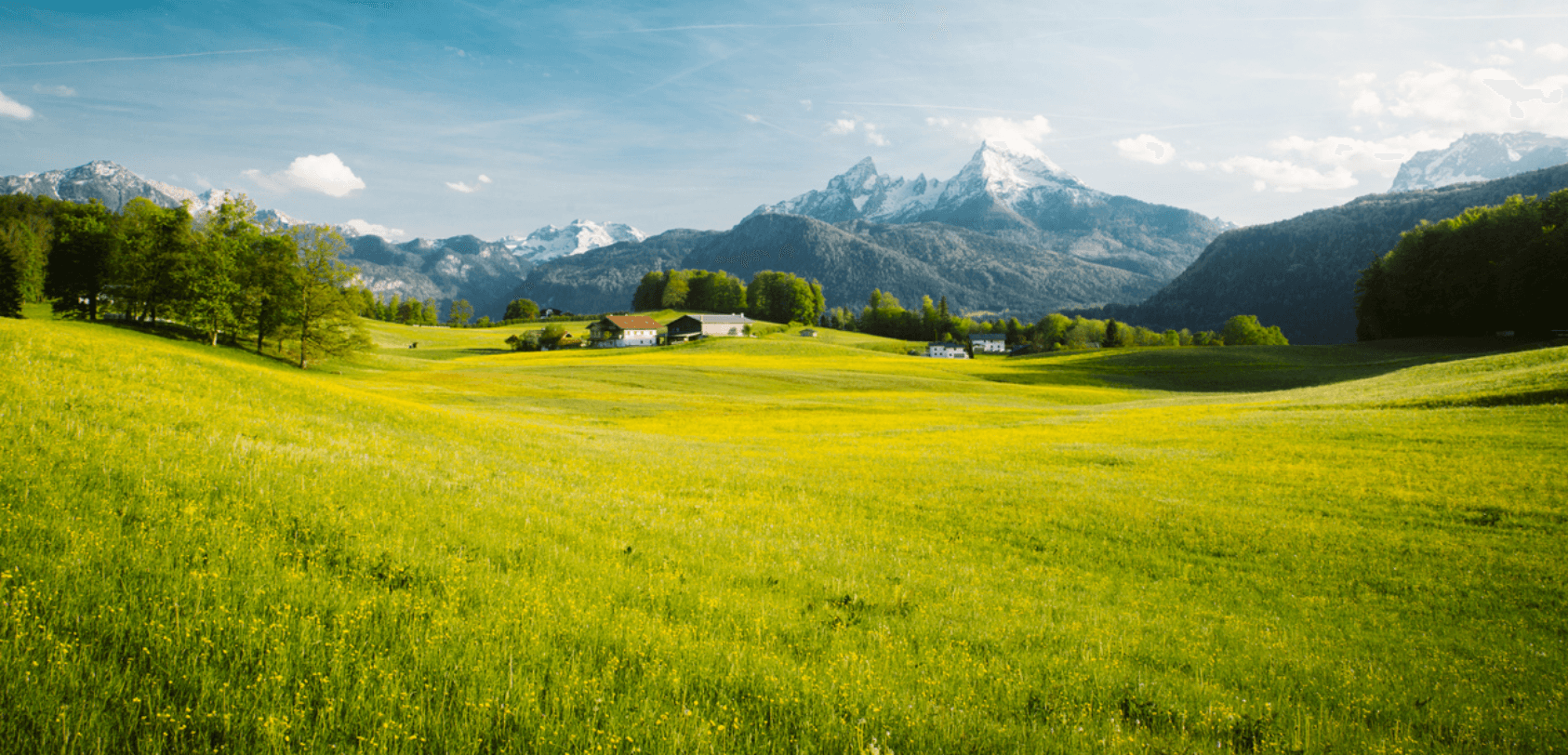 Arsa Fiyatları Yüzde 21, Arazi Fiyatları İse Yüzde 25 Arttı